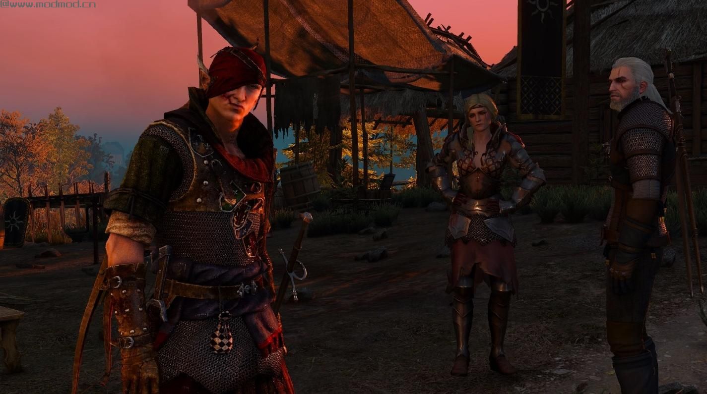 巫师3：狂猎MOD 艾维斯