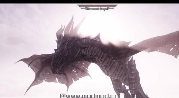 上古卷轴5：重置版MOD 多样化巨龙MOD
