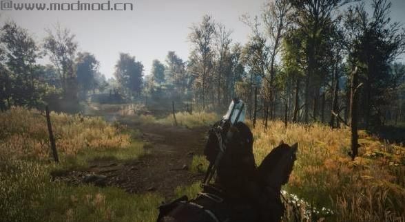 巫师3：狂猎MOD 滤镜预设，改善游戏的默认光照