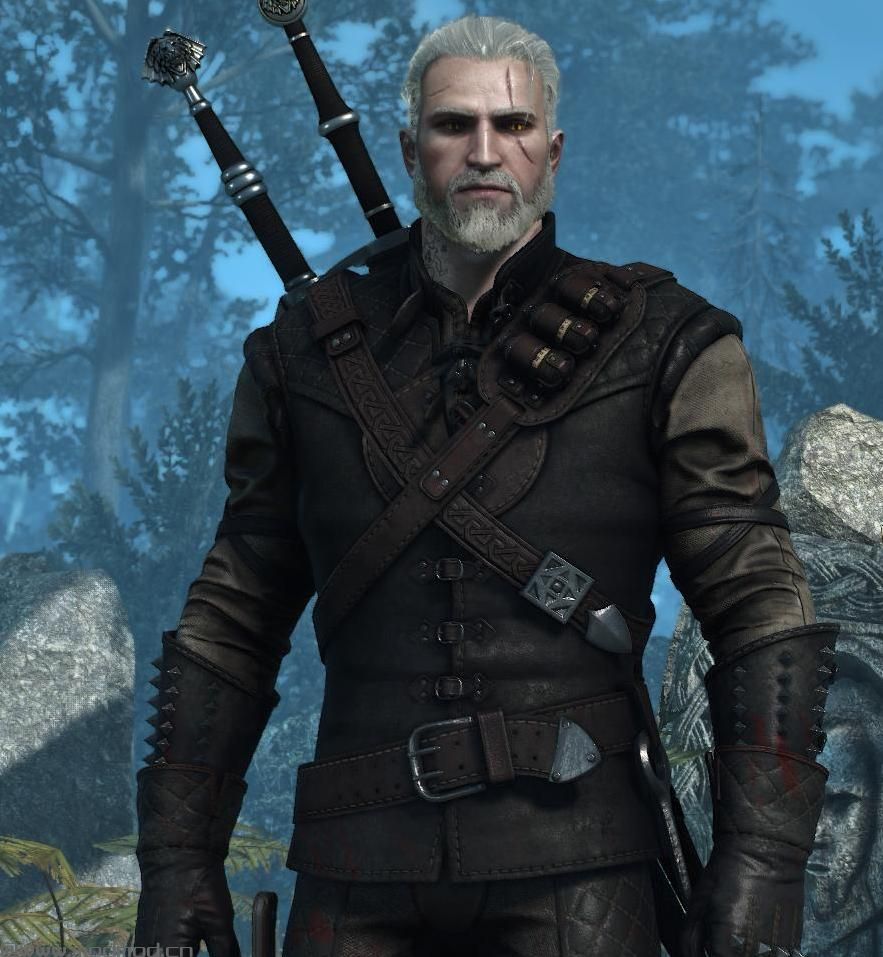巫师3：狂猎MOD Reralt’s 年轻杰洛特