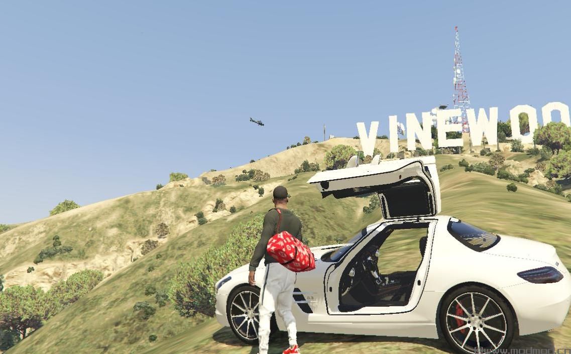 侠盗猎车手5「GTA5」Mod: Duffle包路易威登X至尊