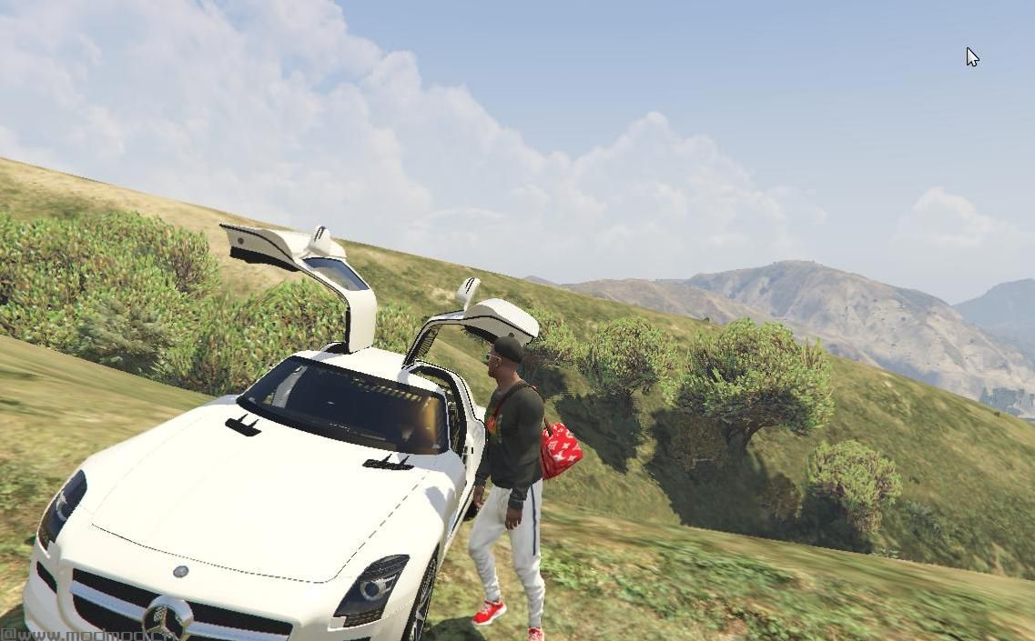 侠盗猎车手5「GTA5」Mod: Duffle包路易威登X至尊