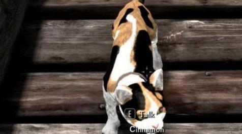 上古卷轴5：重置版MOD 天际野猫MOD