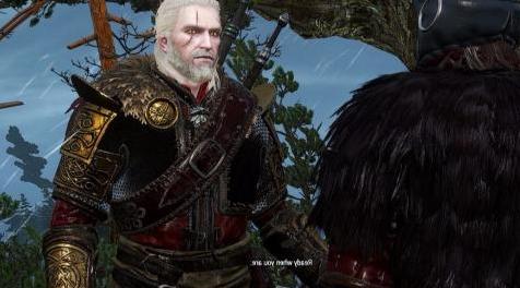 巫师3：狂猎MOD Undvik 盔甲
