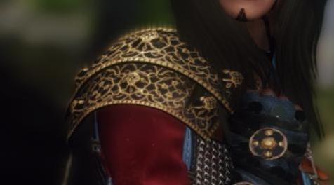 上古卷轴5：天际MOD 分享下随从饭饭穿的衣服