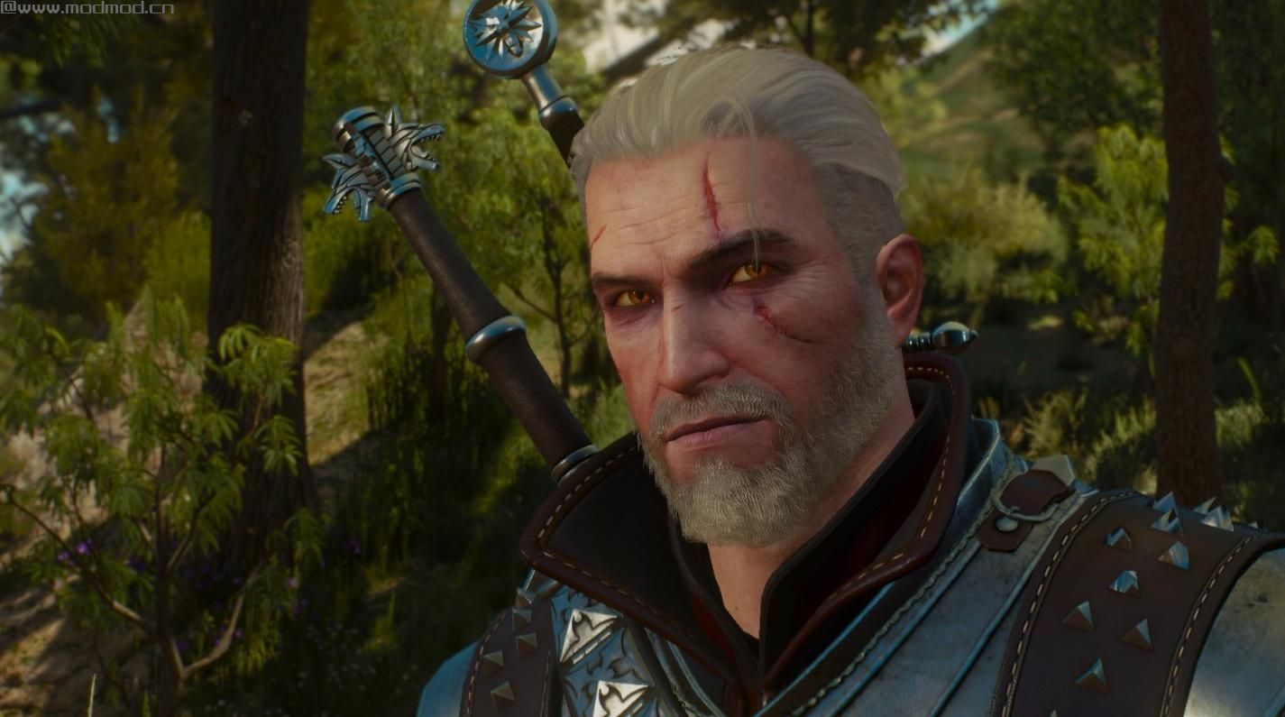 Witcher 3 Vanilla HoS BaW 100 percent save file NG READY（存档）