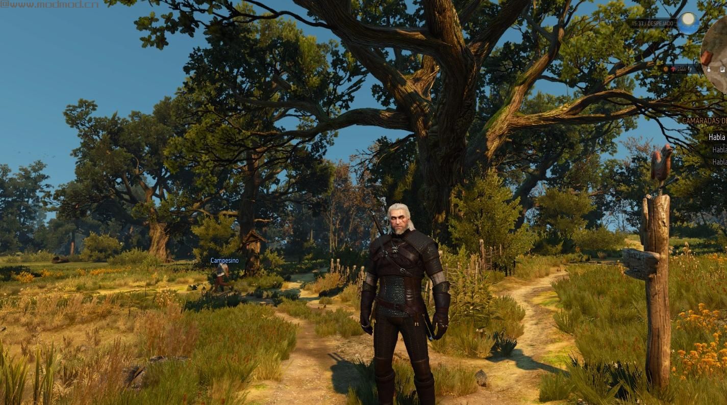 巫师3：狂猎MOD 毒蛇学派装备重新处理