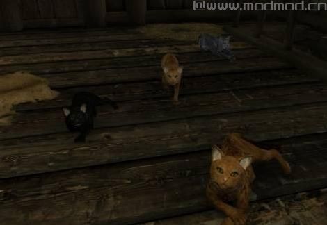 上古卷轴5：重置版MOD 天际野猫MOD