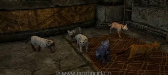 上古卷轴5：重置版MOD 天际野猫MOD