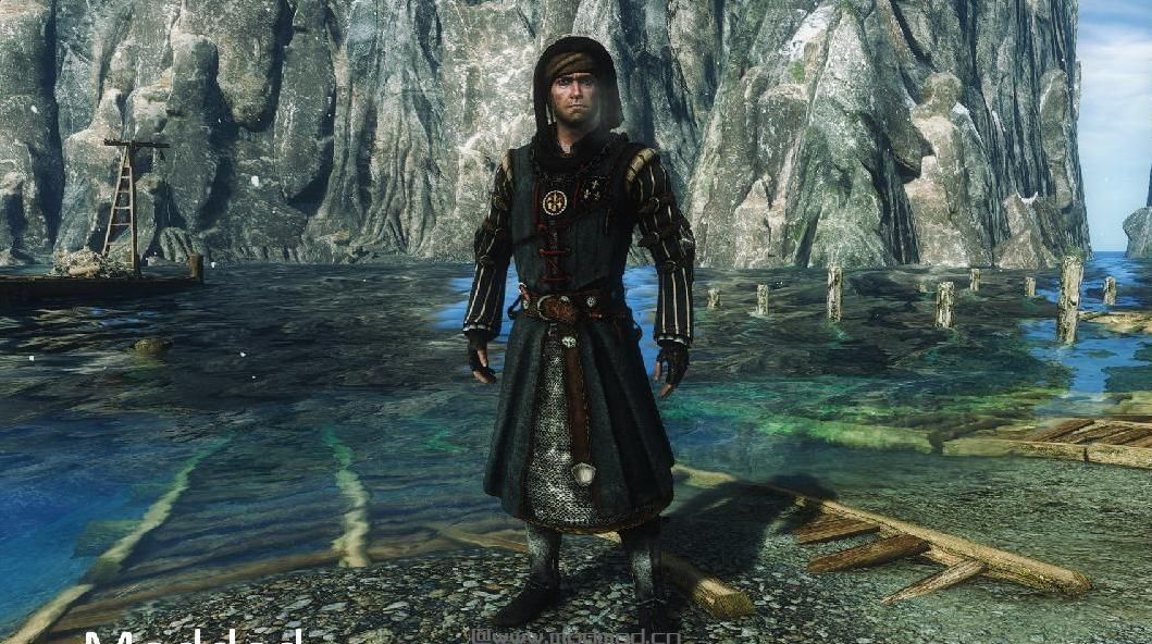 巫师3：狂猎MOD 巫师2的Characters和Monsters