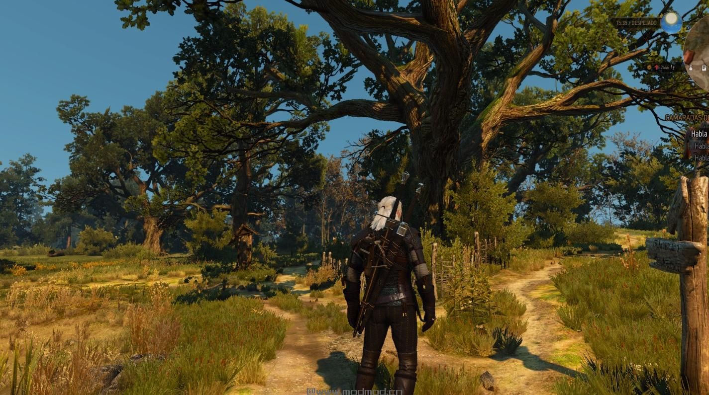 巫师3：狂猎MOD 毒蛇学派装备重新处理