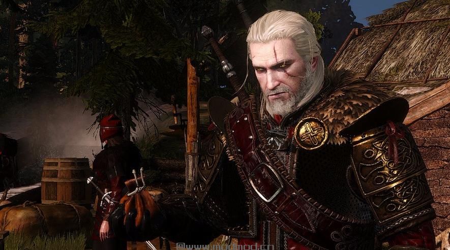 巫师3：狂猎MOD Undvik 盔甲