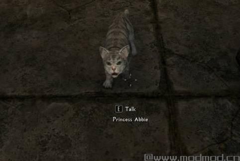 上古卷轴5：重置版MOD 天际野猫MOD