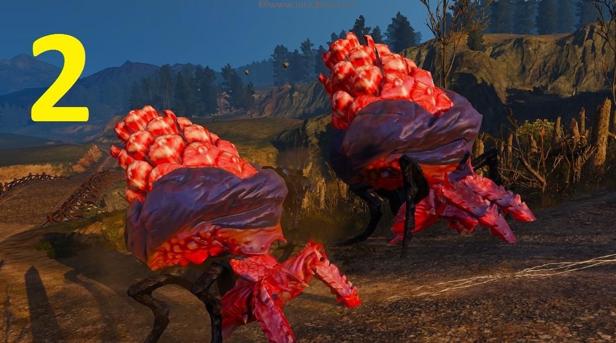 巫师3：狂猎MOD Spiders no more（不再有蜘蛛）