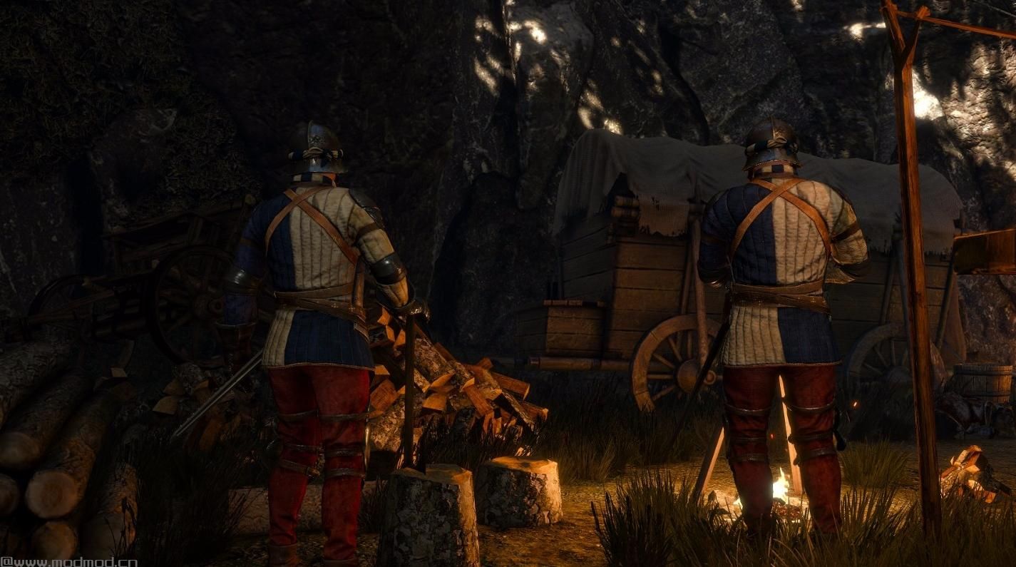 巫师3：狂猎MOD 更好的Temerians