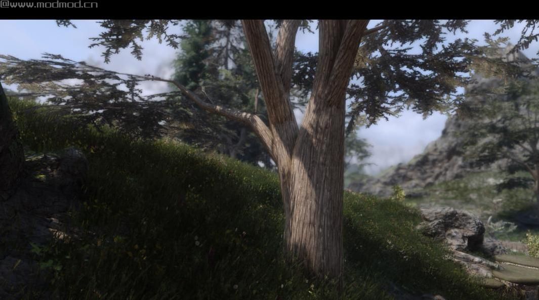 上古卷轴5：重置版MOD TREES ADDON SE