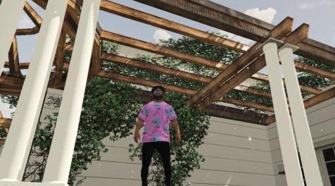 侠盗猎车手5「GTA5」Mod: T恤蓝玫瑰