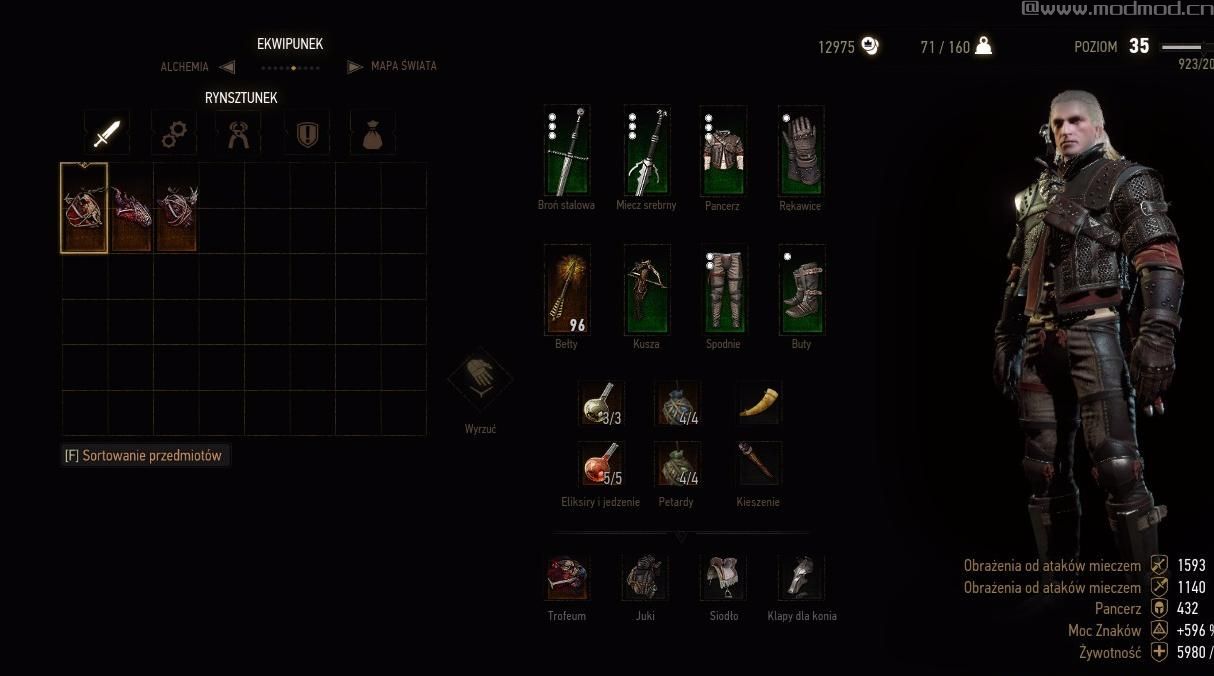 巫师3：狂猎MOD Save z Wiedzmina 3（存档）