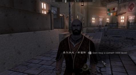 上古卷轴5：天际MOD 把外面那匹马换成骆驼