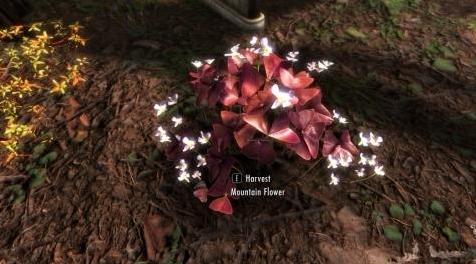上古卷轴5：重置版MOD 天际3D植物3.01 Flora摇摆减少