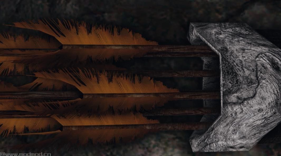 上古卷轴5：重置版MOD Nord英雄箭头改造了纹理4k  -  2k