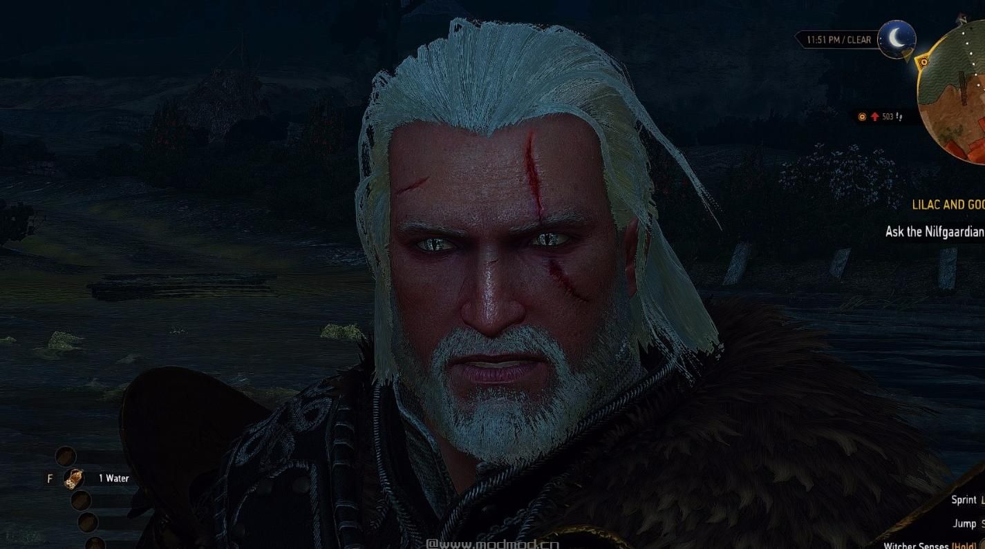 巫师3：狂猎MOD MWSE——巫师银色的眼睛