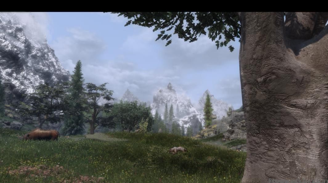 上古卷轴5：重置版MOD TREES ADDON SE