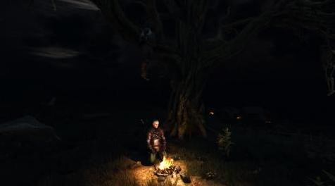 巫师3：狂猎MOD 黑暗之夜-更平滑的过渡补丁 (with Friendly Meditation support)