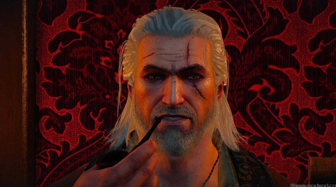 巫师3：狂猎MOD 游戏电影：THE NEXT DAY