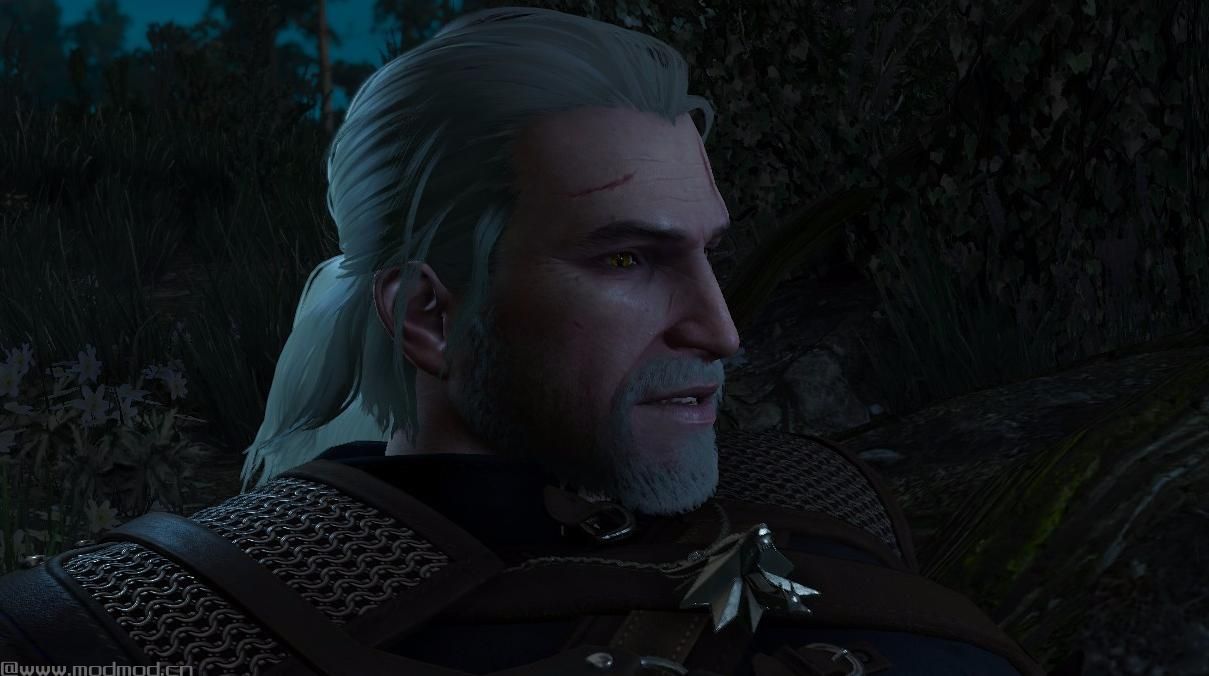 巫师3：狂猎MOD Nvidia发型胡须与Desaturated发型的最佳搭配