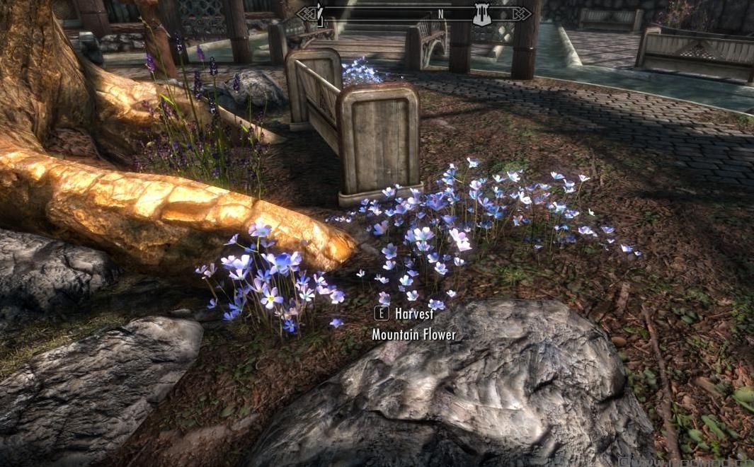上古卷轴5：重置版MOD 天际3D植物3.01 Flora摇摆减少