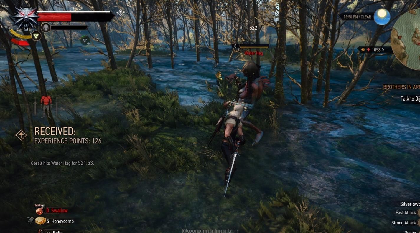 巫师3：狂猎MOD 改进的等级曲线和EXP MOD