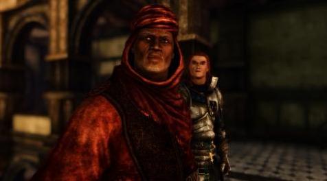 上古卷轴5：重置版MOD 无关紧要的Npcs  -  SSE