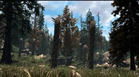 上古卷轴5：重置版MOD 天际3D树的幻想森林大修