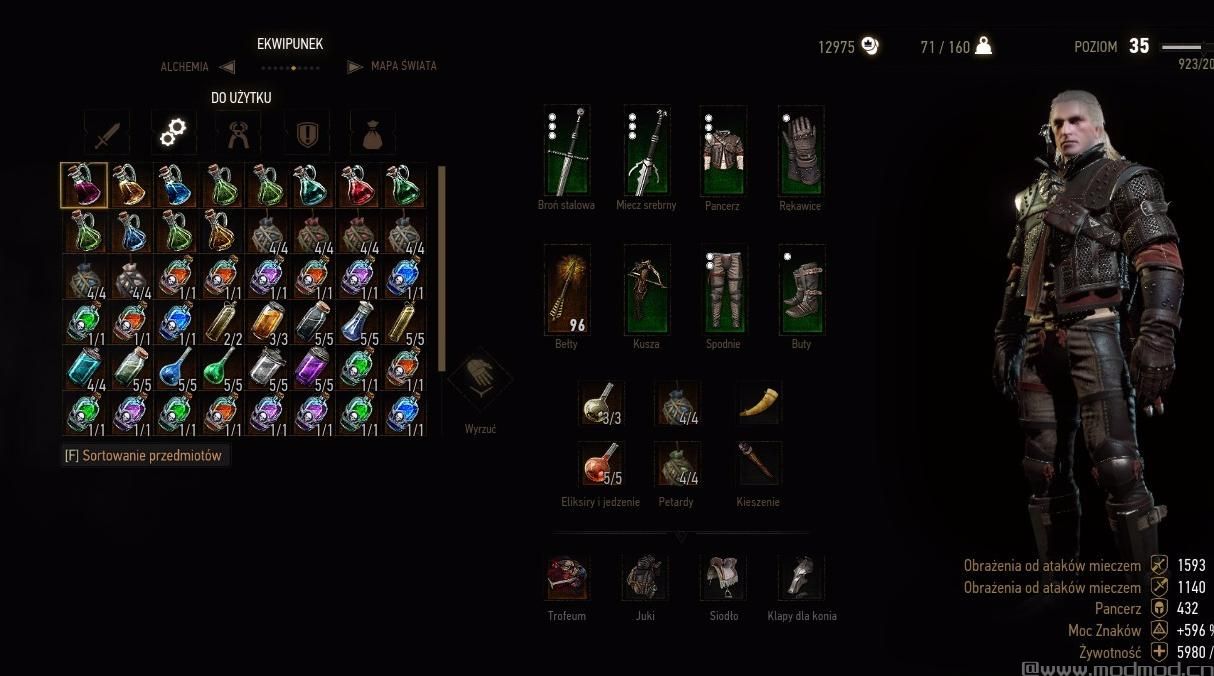 巫师3：狂猎MOD Save z Wiedzmina 3（存档）