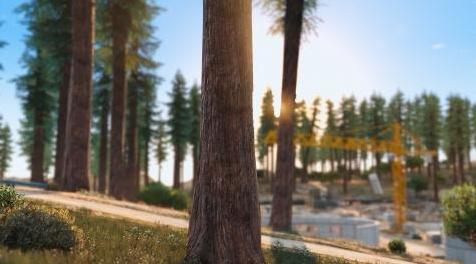 侠盗猎车手5「GTA5」Mod: Senora的森林