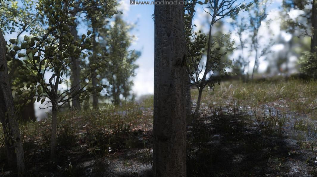 上古卷轴5：重置版MOD 美丽的白桦树皮4K