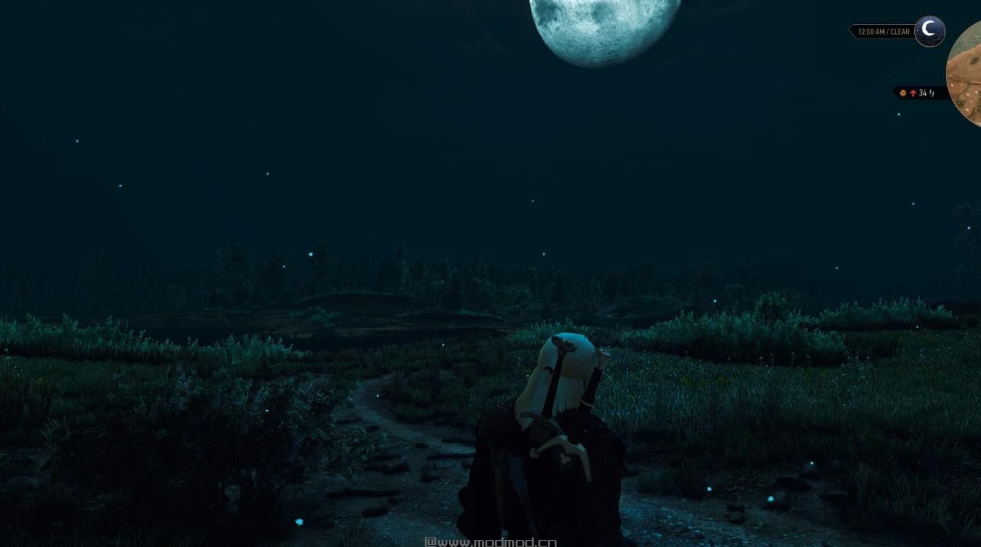 巫师3：狂猎MOD E3 HUD元素