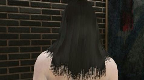 侠盗猎车手5「GTA5」Mod: 更长的头发