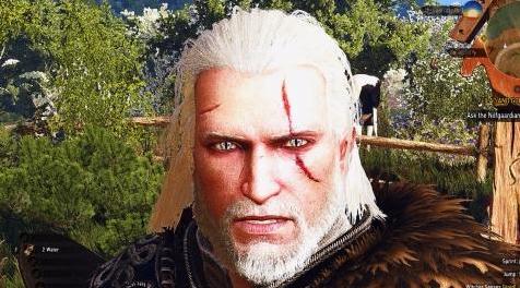 巫师3：狂猎MOD MWSE——巫师银色的眼睛