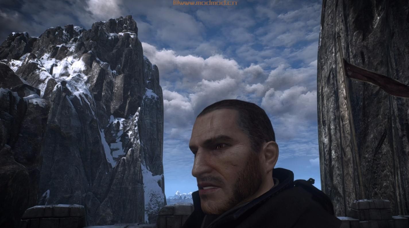 巫师3：狂猎MOD N.E.W Geralt