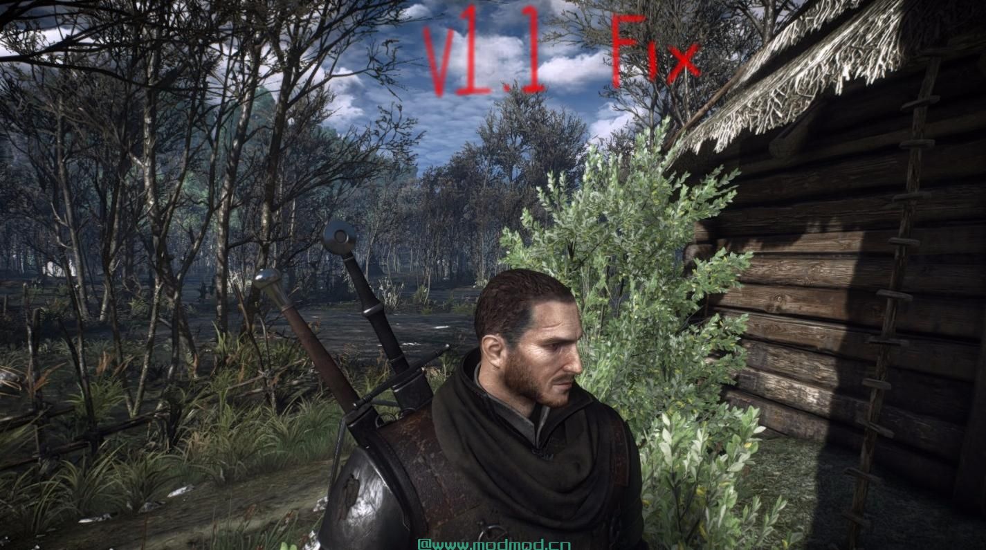 巫师3：狂猎MOD N.E.W Geralt