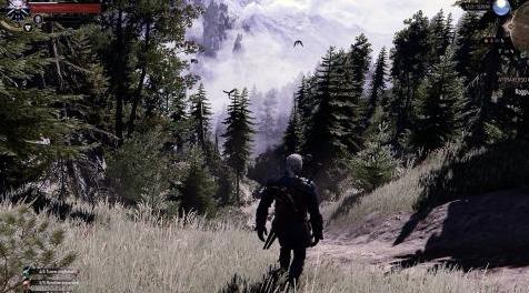 巫师3：狂猎MOD 最终黑暗巫师-4K和1080p