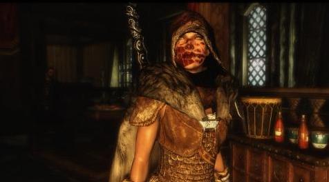 上古卷轴5：重置版MOD 有趣的NPC（3DNPC）角色Zora Fairchild的声音得到了提升