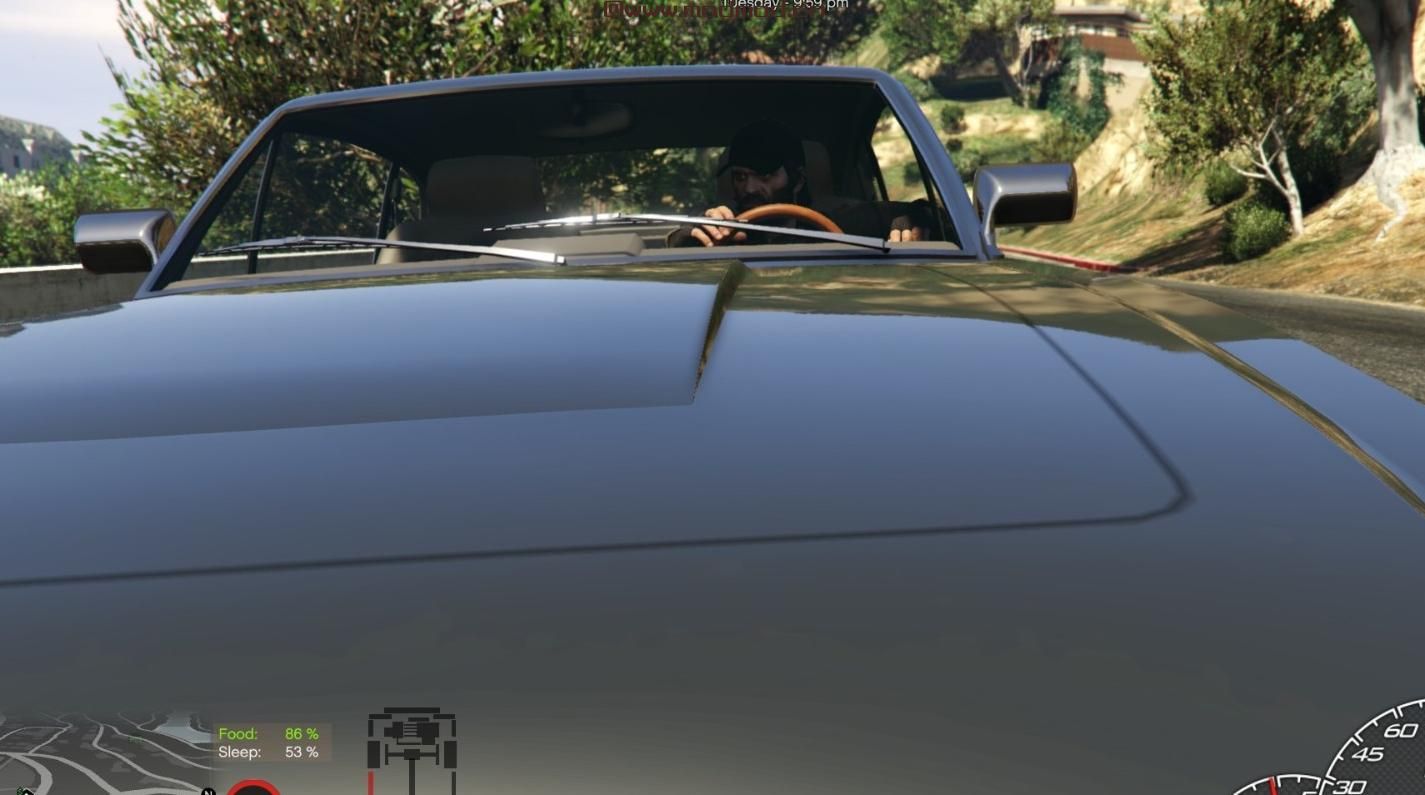 侠盗猎车手5「GTA5」Mod: 轻松的驾驶风格