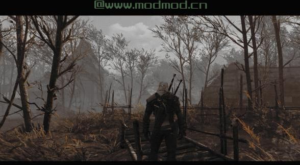 巫师3：狂猎MOD Wild Witcher 2017