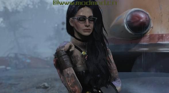 辐射4MOD 联邦美发