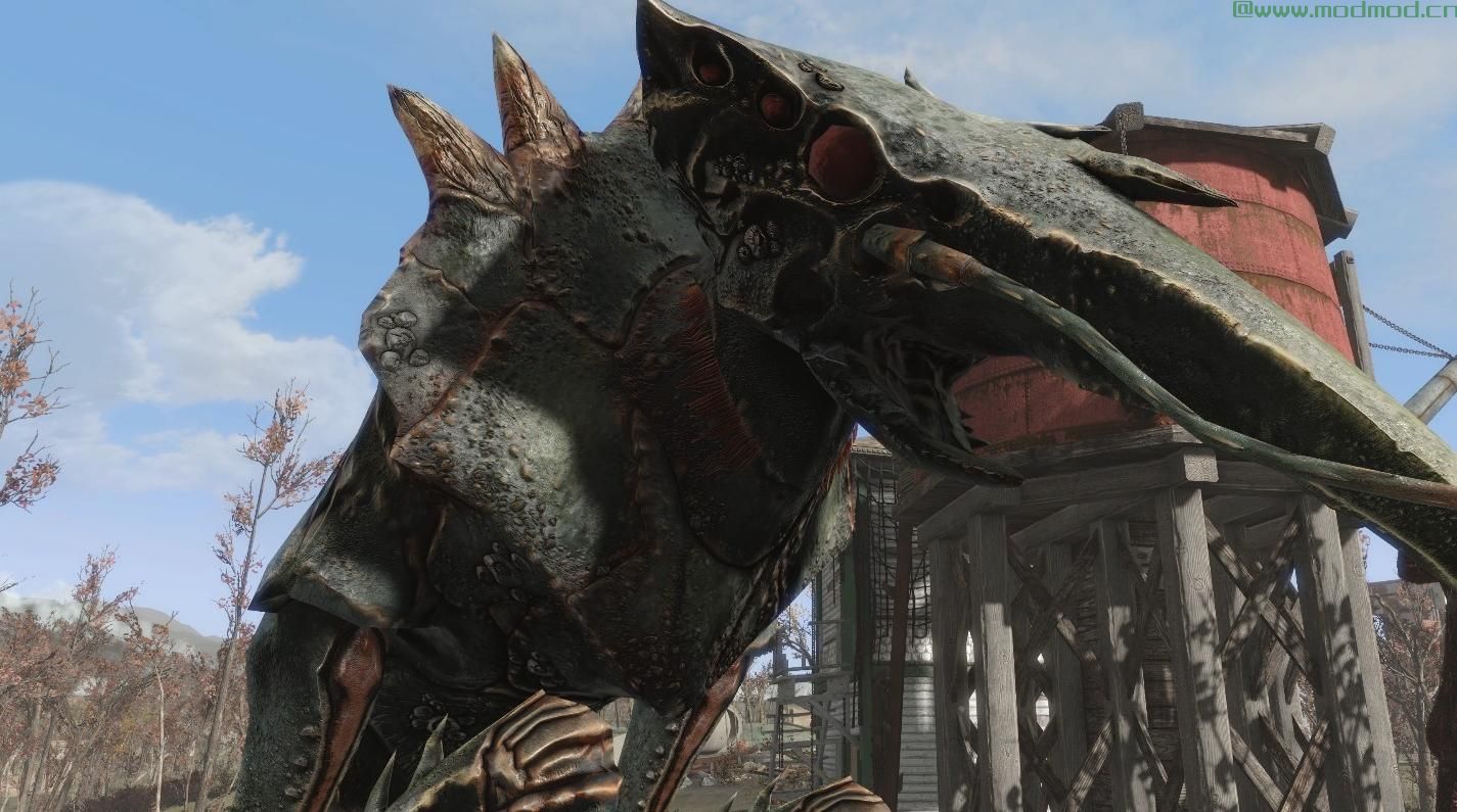 cc的不明飞行物