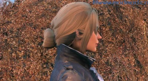 辐射4MOD 联邦美发