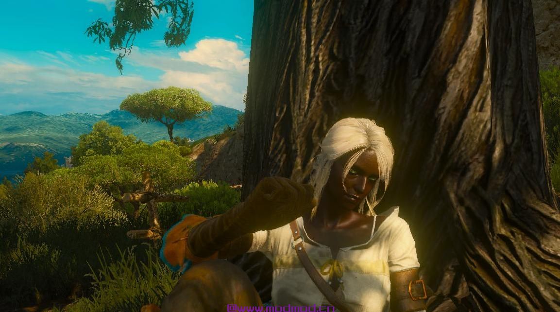 巫师3：狂猎MOD Netflix Ciri（希里新纹理）